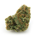 Dried cannabis flower Orange Blossom strain isolated on white backdrop